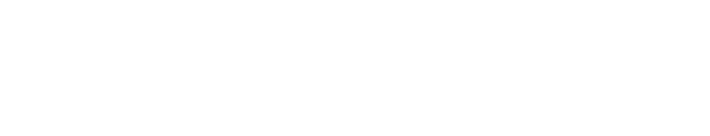 PRODUCIENDO SOLUCIONES